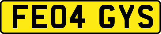 FE04GYS