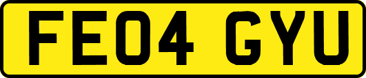 FE04GYU