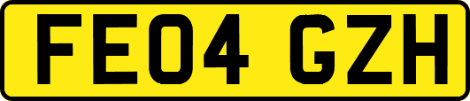 FE04GZH