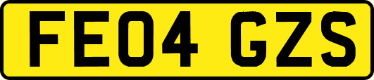 FE04GZS