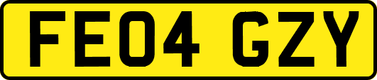 FE04GZY