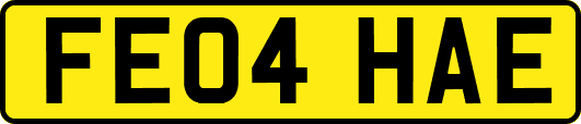 FE04HAE