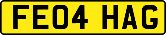 FE04HAG