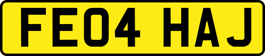 FE04HAJ