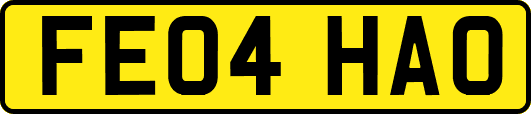 FE04HAO