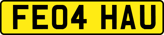 FE04HAU