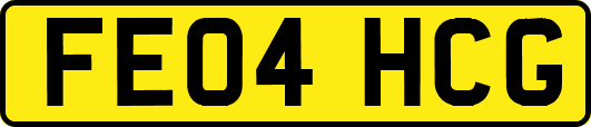 FE04HCG