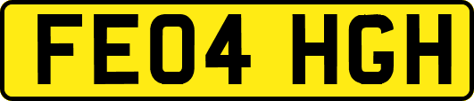 FE04HGH