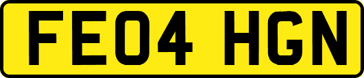 FE04HGN