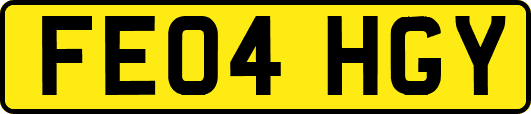 FE04HGY