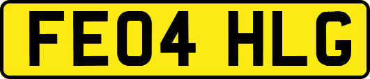 FE04HLG