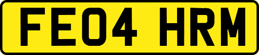 FE04HRM