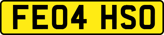 FE04HSO