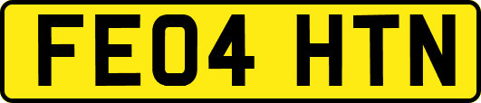 FE04HTN