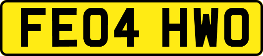 FE04HWO