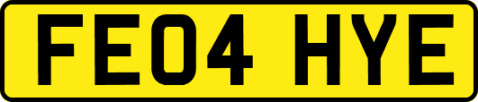 FE04HYE