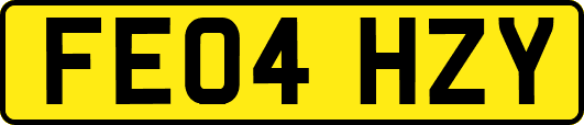 FE04HZY