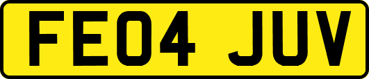 FE04JUV
