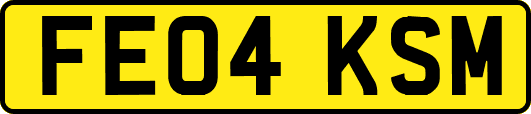FE04KSM