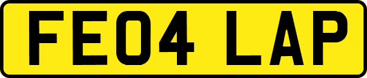 FE04LAP