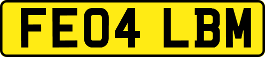 FE04LBM
