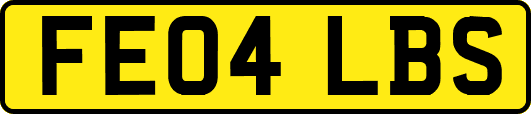 FE04LBS