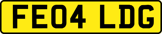 FE04LDG