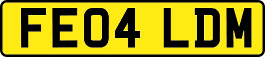 FE04LDM