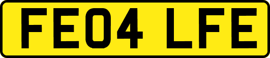 FE04LFE