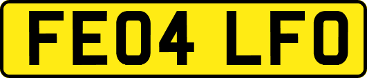 FE04LFO