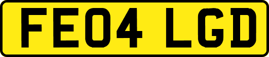 FE04LGD