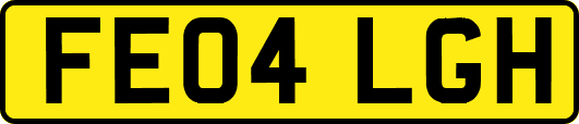 FE04LGH