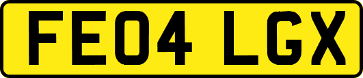FE04LGX