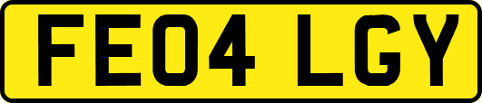 FE04LGY