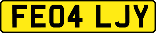 FE04LJY