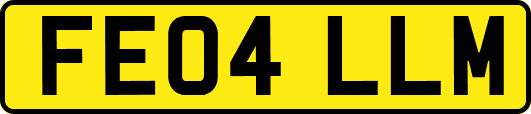 FE04LLM
