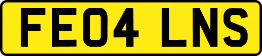 FE04LNS