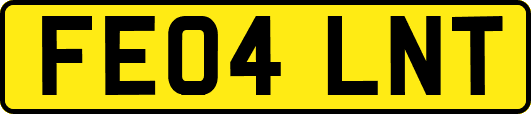 FE04LNT