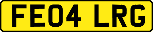 FE04LRG