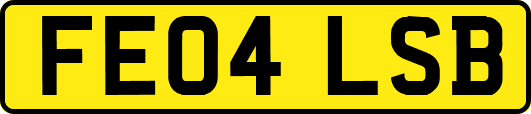 FE04LSB