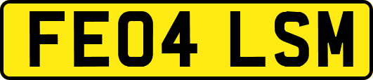 FE04LSM