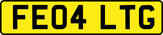 FE04LTG