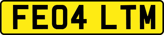 FE04LTM