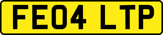 FE04LTP