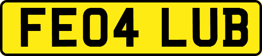 FE04LUB