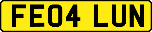 FE04LUN