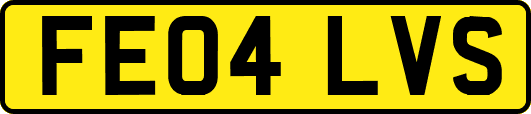 FE04LVS