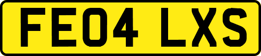 FE04LXS