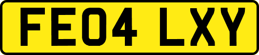 FE04LXY