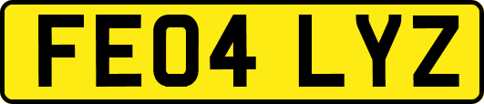 FE04LYZ